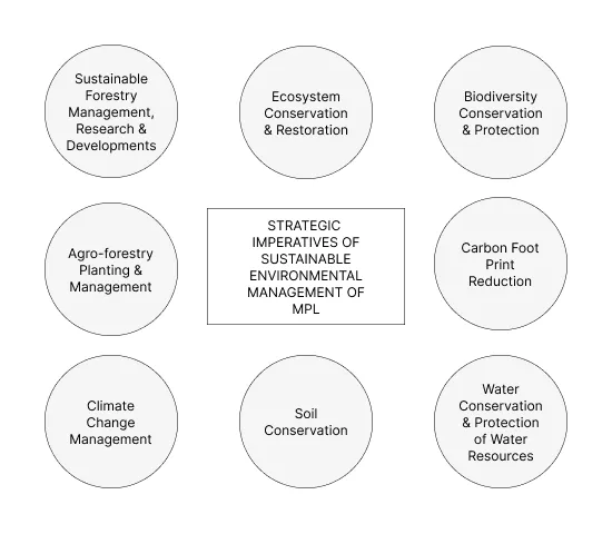 Environmental Management Flowchart